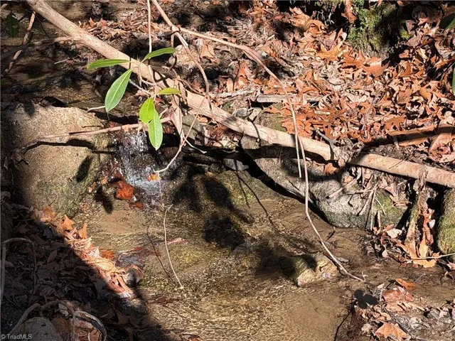 $535,000 | 421 West Purlear Nc 28665, Deep Gap, NC 28618