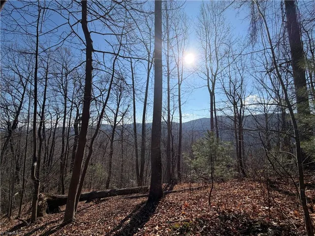 $535,000 | 421 West Purlear Nc 28665, Deep Gap, NC 28618