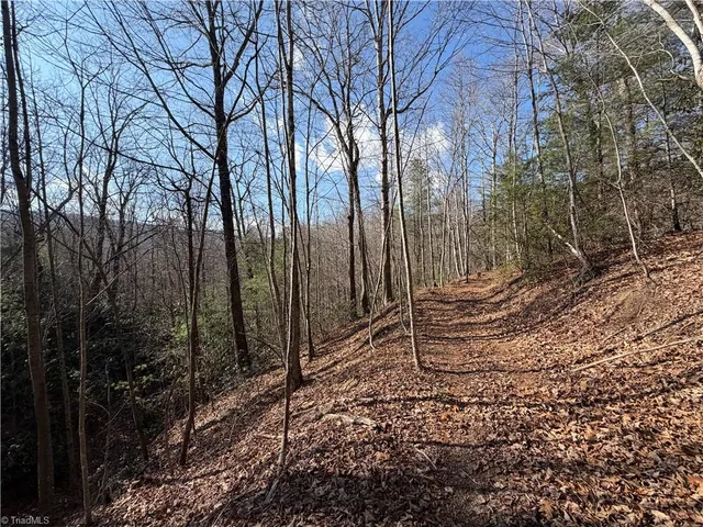 $535,000 | 421 West Purlear Nc 28665, Deep Gap, NC 28618