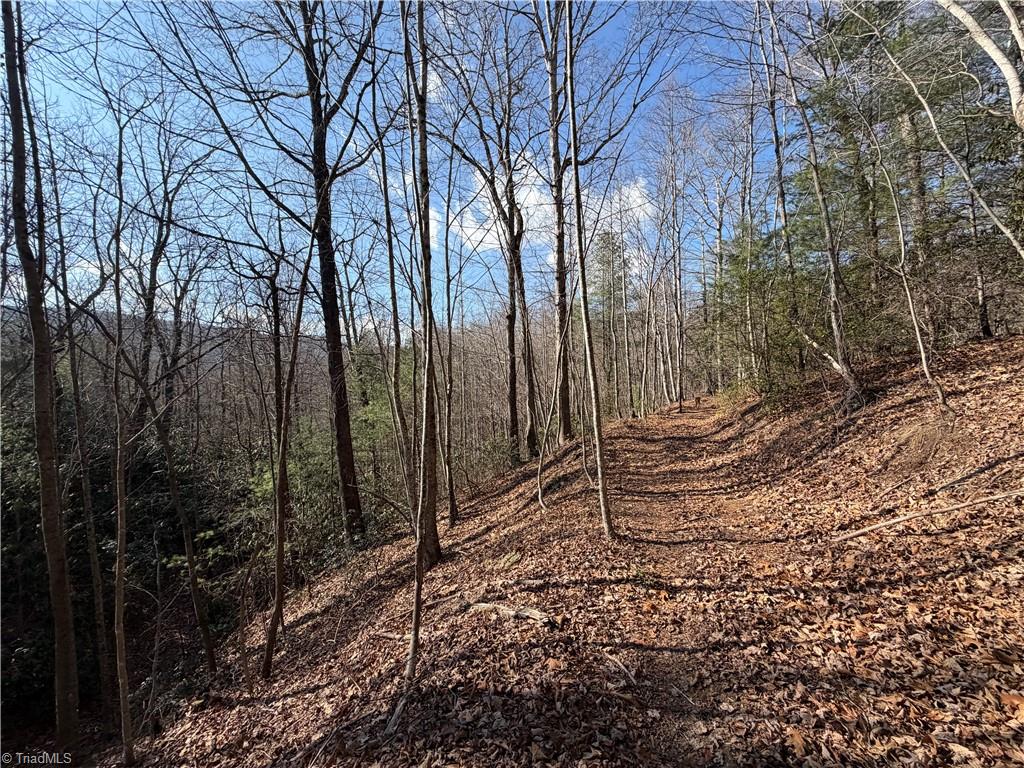 421 West Purlear Nc 28665 Deep Gap, NC 28618 - Photo 15 of 42