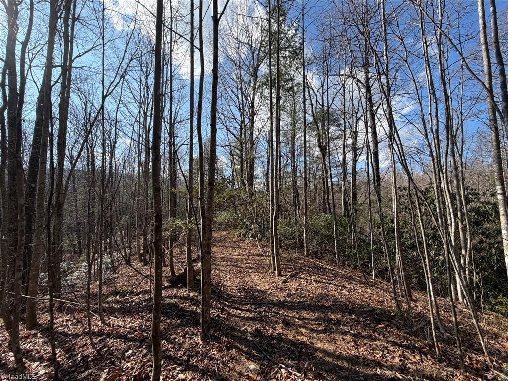 421 West Purlear Nc 28665 Deep Gap, NC 28618 - Photo 16 of 42