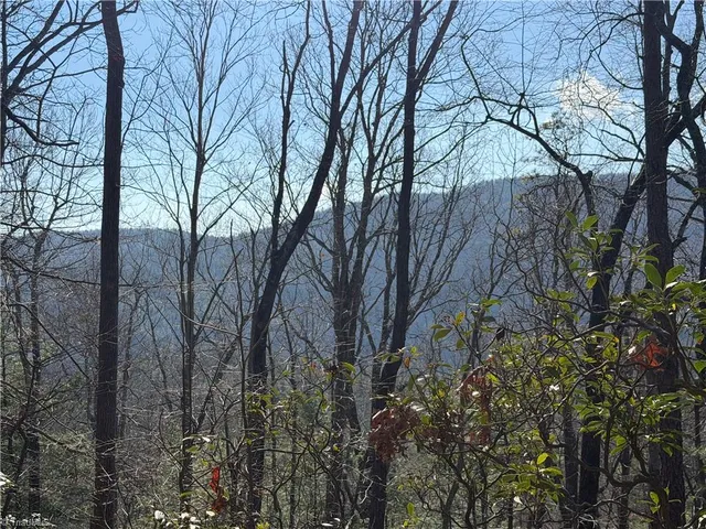 $535,000 | 421 West Purlear Nc 28665, Deep Gap, NC 28618