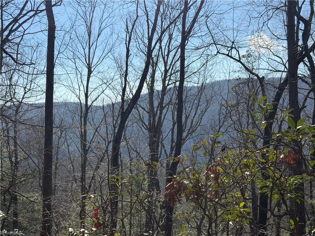 421 West Purlear Nc 28665 Deep Gap, NC 28618 - Photo 17 of 42
