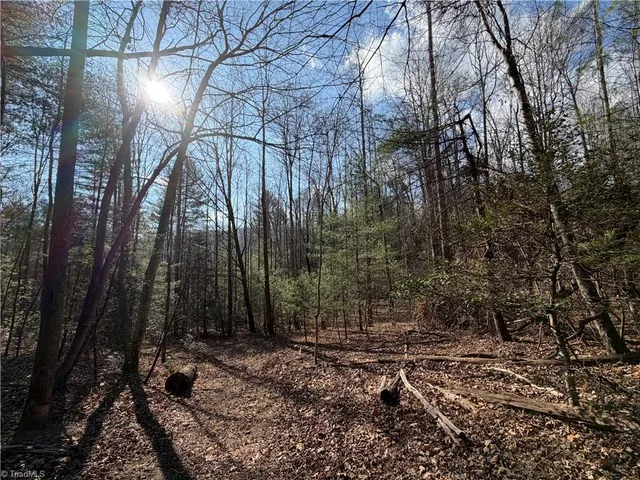 $535,000 | 421 West Purlear Nc 28665, Deep Gap, NC 28618