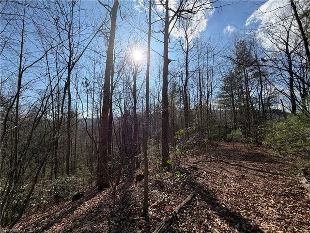 $535,000 | 421 West Purlear Nc 28665, Deep Gap, NC 28618