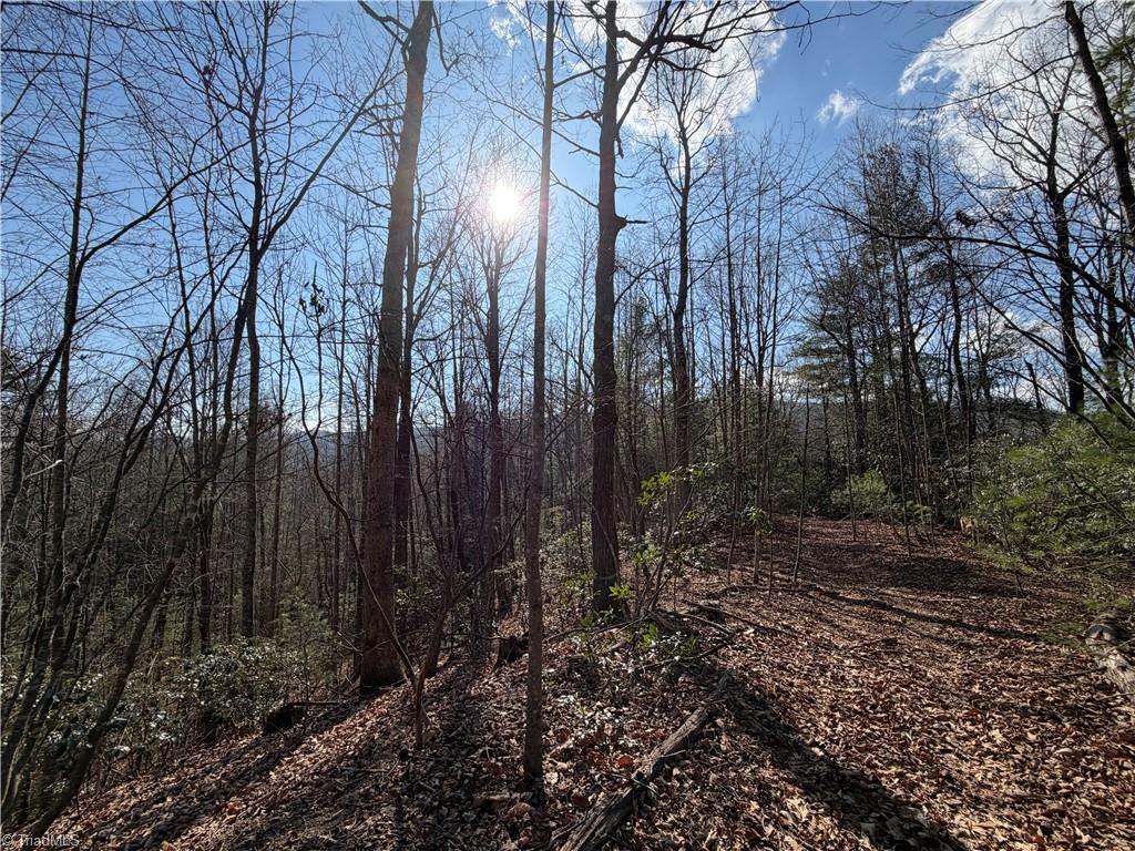 421 West Purlear Nc 28665 Deep Gap, NC 28618 - Photo 19 of 42