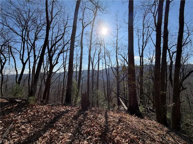 $535,000 | 421 West Purlear Nc 28665, Deep Gap, NC 28618