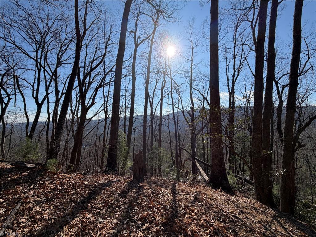 421 West Purlear Nc 28665 Deep Gap, NC 28618 - Photo 20 of 42