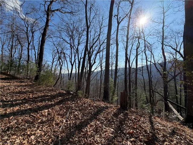 $535,000 | 421 West Purlear Nc 28665, Deep Gap, NC 28618