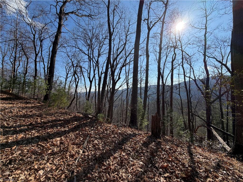 421 West Purlear Nc 28665 Deep Gap, NC 28618 - Photo 21 of 42