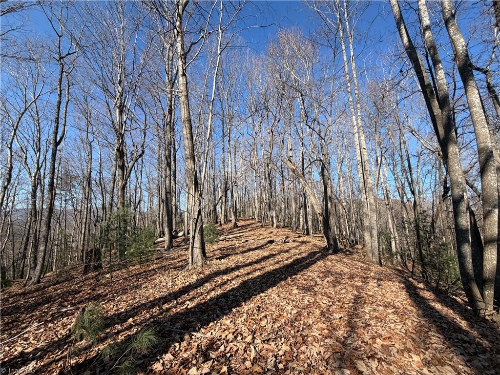 421 West Purlear Nc 28665 Deep Gap, NC 28618 - Photo 22 of 42