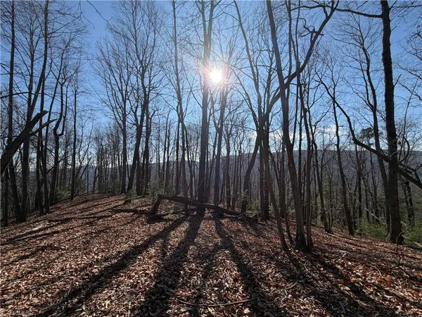 $535,000 | 421 West Purlear Nc 28665, Deep Gap, NC 28618