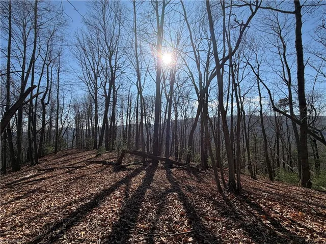 $535,000 | 421 West Purlear Nc 28665, Deep Gap, NC 28618