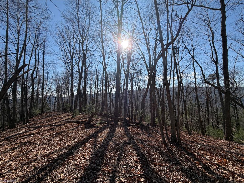 421 West Purlear Nc 28665 Deep Gap, NC 28618 - Photo 23 of 42