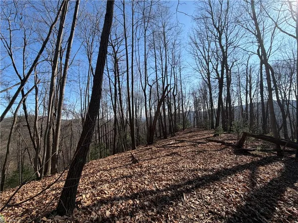 $535,000 | 421 West Purlear Nc 28665, Deep Gap, NC 28618