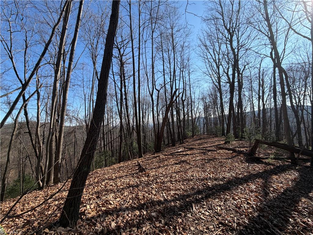 421 West Purlear Nc 28665 Deep Gap, NC 28618 - Photo 24 of 42