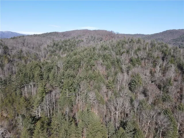 $535,000 | 421 West Purlear Nc 28665, Deep Gap, NC 28618