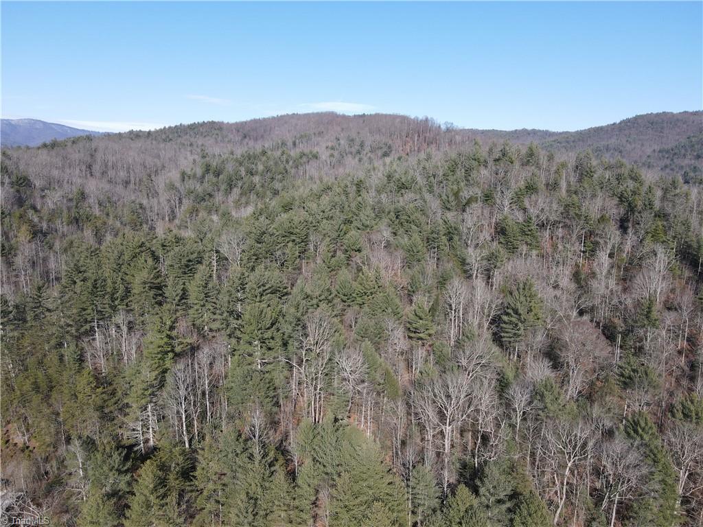 421 West Purlear Nc 28665 Deep Gap, NC 28618 - Photo 25 of 42