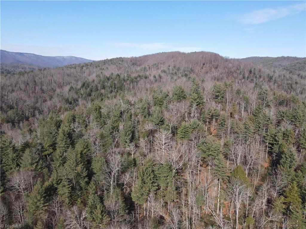 421 West Purlear Nc 28665 Deep Gap, NC 28618 - Photo 27 of 42