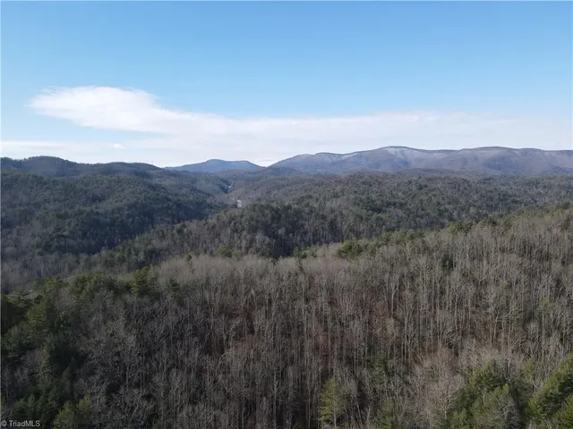 $535,000 | 421 West Purlear Nc 28665, Deep Gap, NC 28618