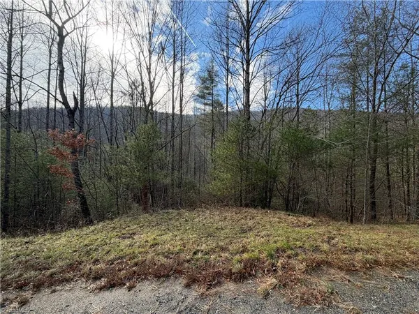 $535,000 | 421 West Purlear Nc 28665, Deep Gap, NC 28618