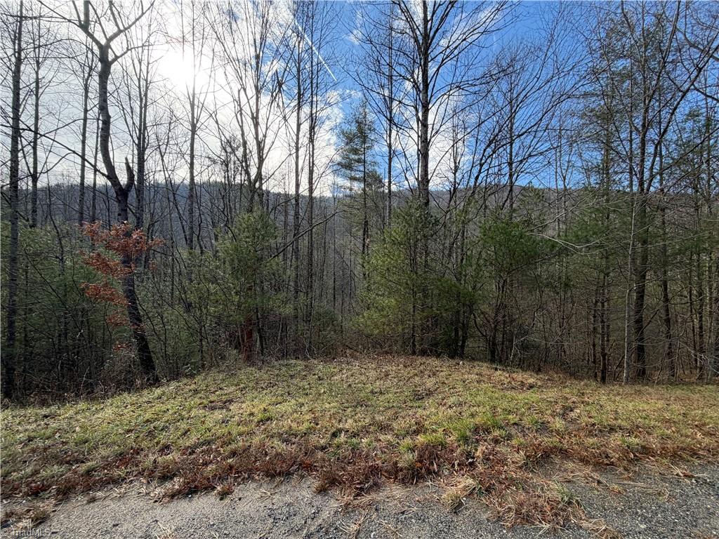 421 West Purlear Nc 28665 Deep Gap, NC 28618 - Photo 30 of 42