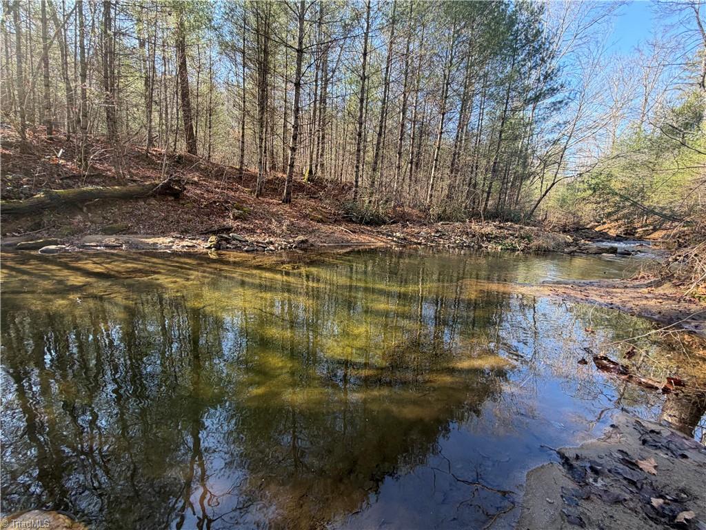 421 West Purlear Nc 28665 Deep Gap, NC 28618 - Photo 34 of 42