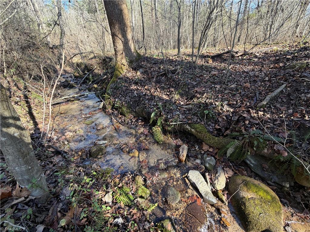 421 West Purlear Nc 28665 Deep Gap, NC 28618 - Photo 36 of 42