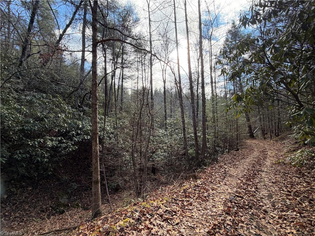 421 West Purlear Nc 28665 Deep Gap, NC 28618 - Photo 40 of 42