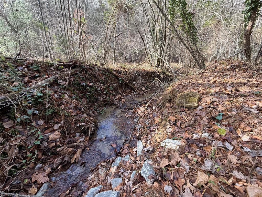 421 West Purlear Nc 28665 Deep Gap, NC 28618 - Photo 41 of 42