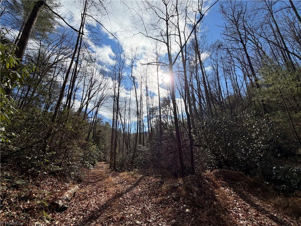 421 West Purlear Nc 28665 Deep Gap, NC 28618 - Photo 42 of 42
