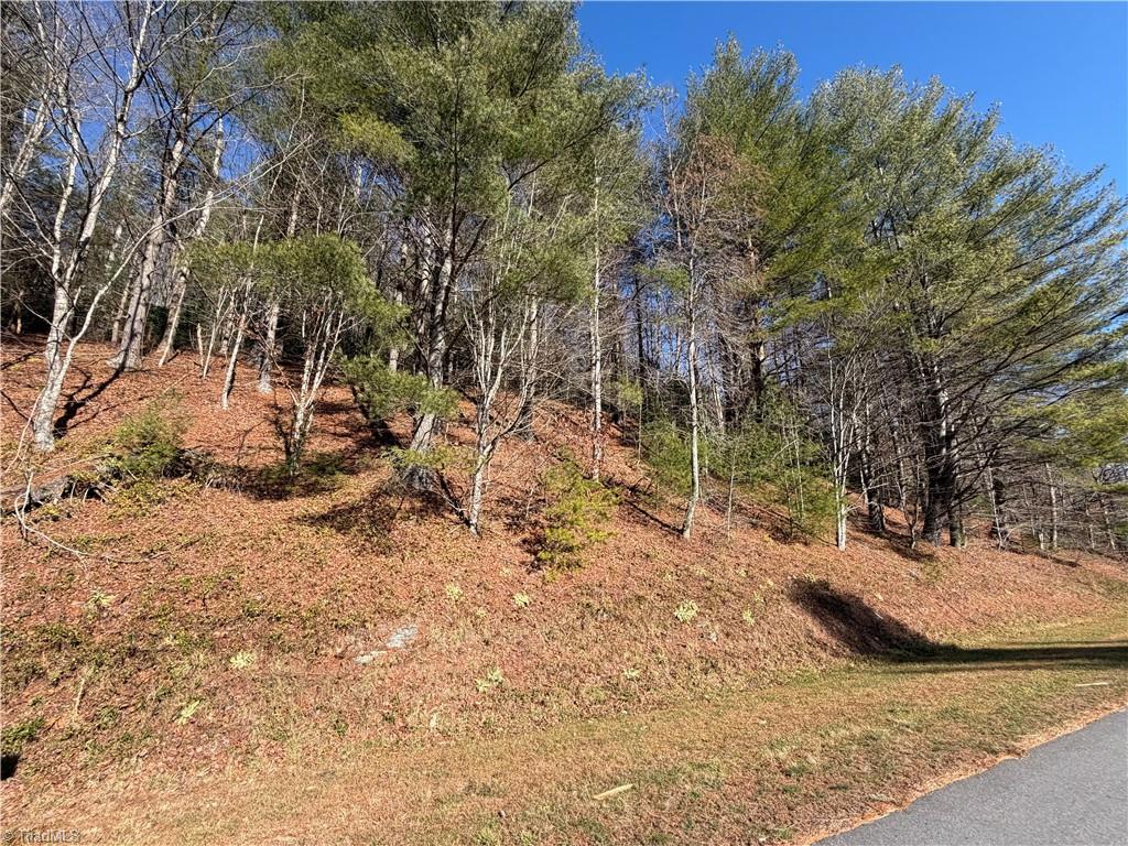 421 West Purlear Nc 28665 Deep Gap, NC 28618 - Photo 6 of 42