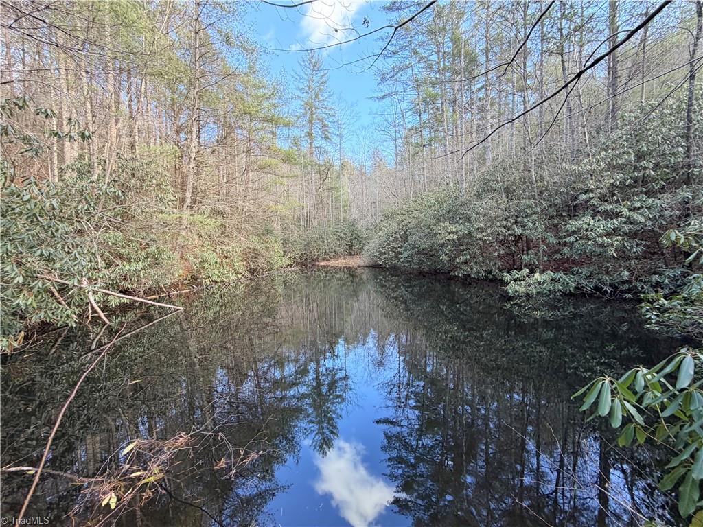 421 West Purlear Nc 28665 Deep Gap, NC 28618 - Photo 8 of 42