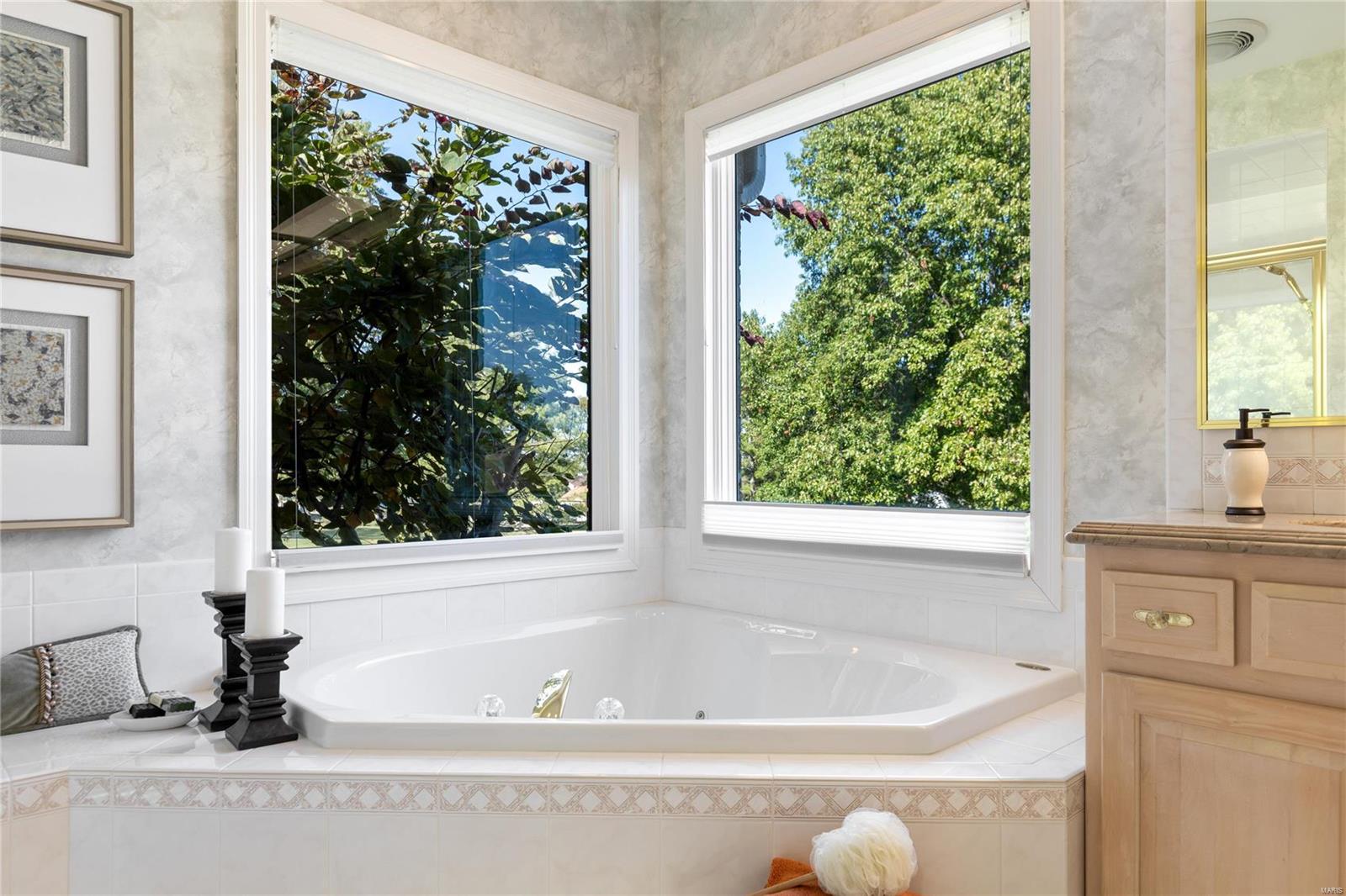 561 Malinmor Drive Weldon Spring, MO 63304 - Photo 37 of 54