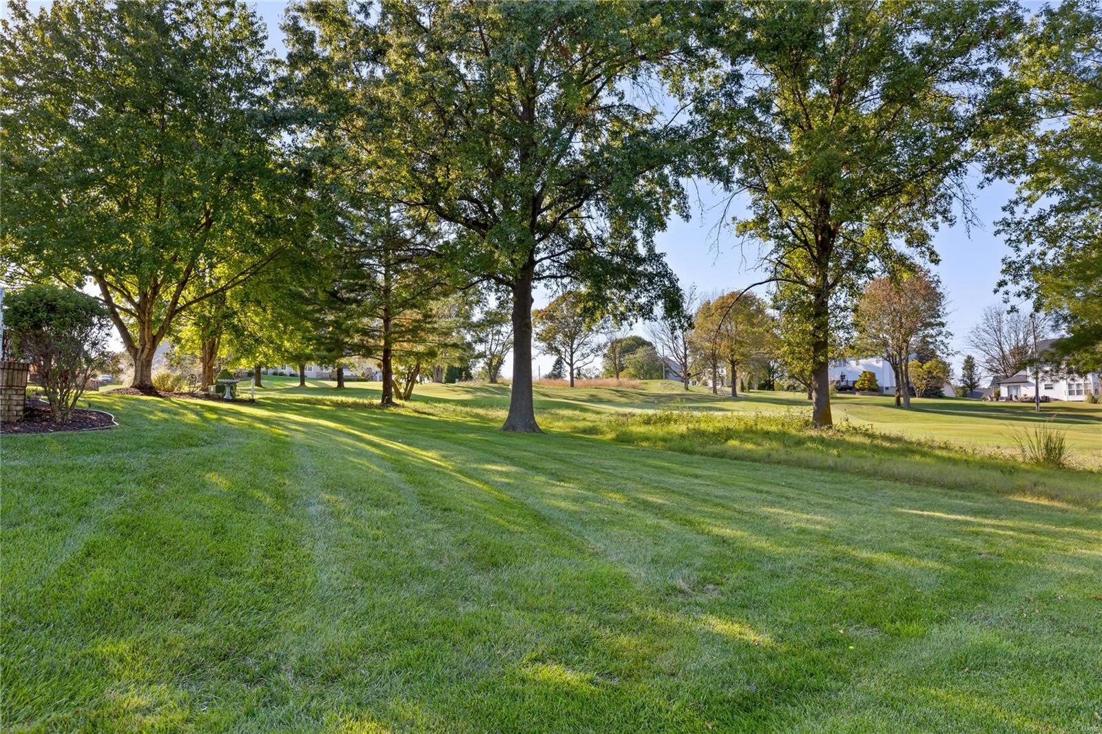 561 Malinmor Drive Weldon Spring, MO 63304 - Photo 54 of 54