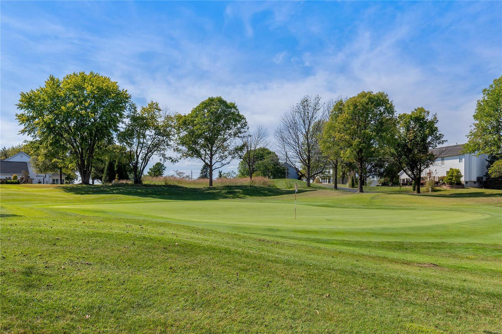 561 Malinmor Drive Weldon Spring, MO 63304 - Photo 7 of 54