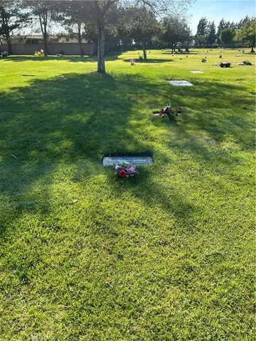 a view of a golf course with a lake
