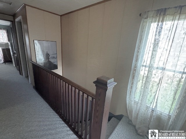 208 Brigham Road Dunkirk, NY 14048 - Photo 32 of 38