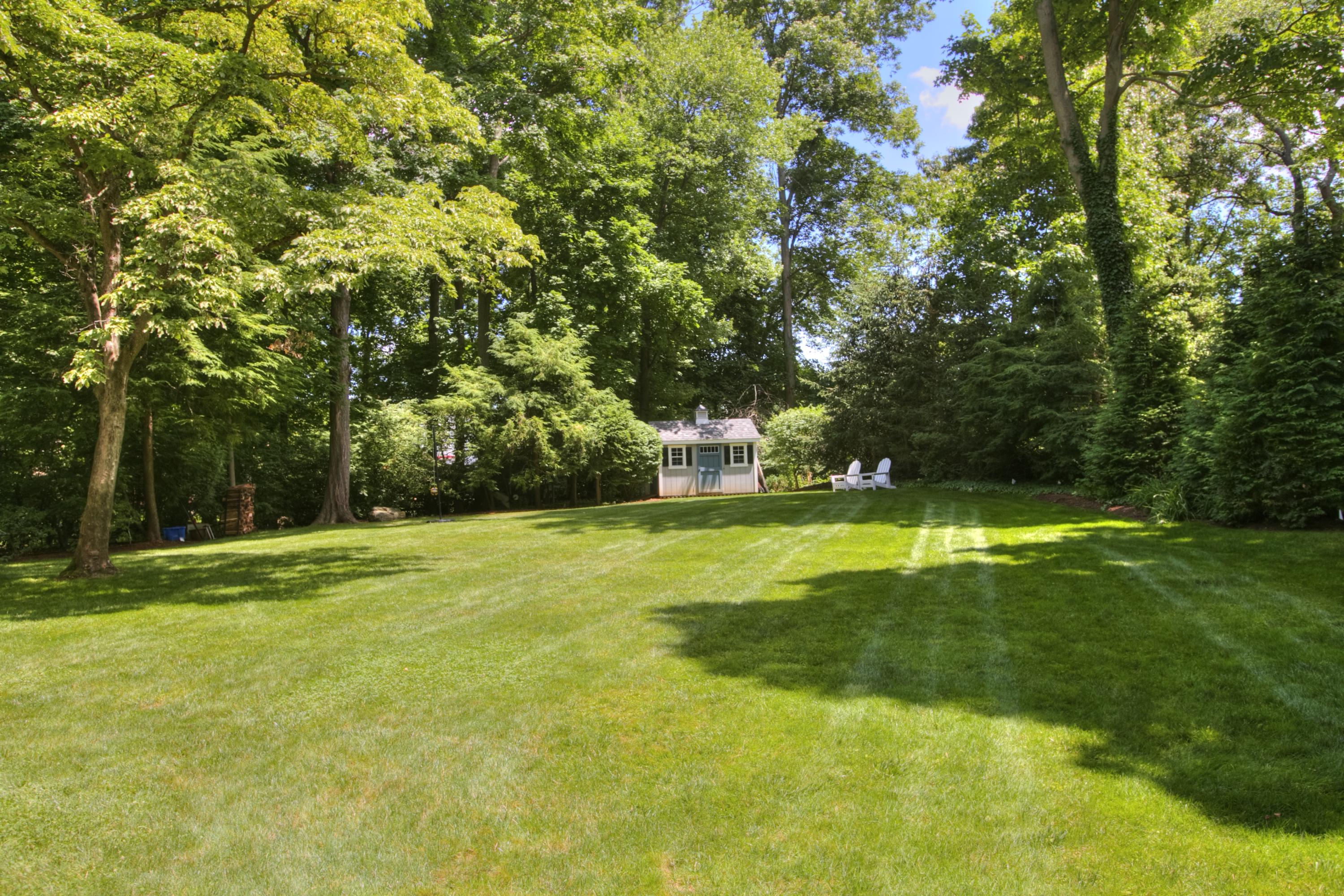 17 Rocaton Road Darien, CT 06820 - Photo 23 of 26 a view of a trees in a yard