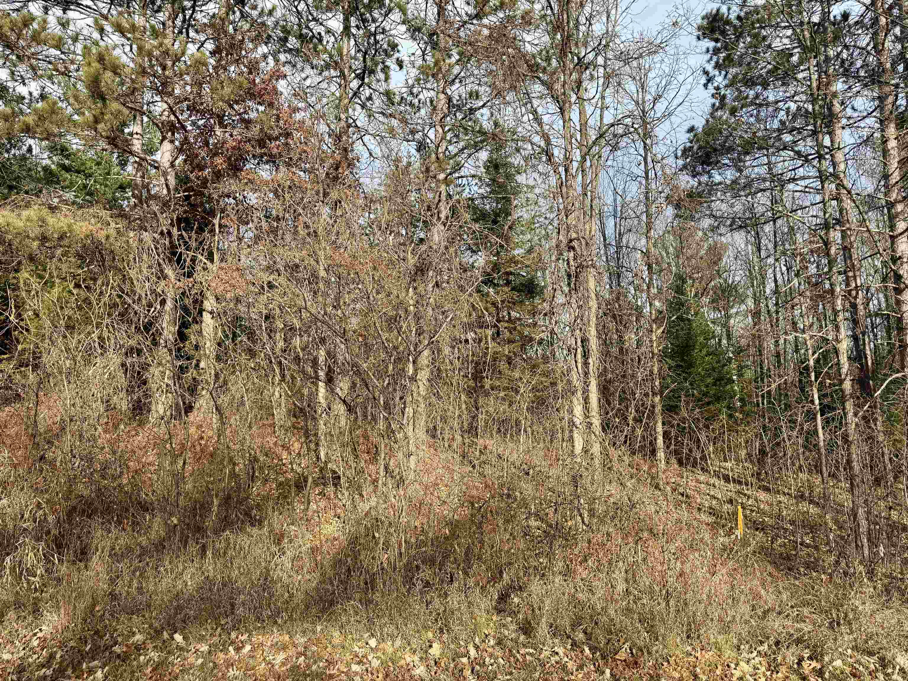 Airport Road, Unit 3 Crivitz, WI 54114 - Photo 3 of 10