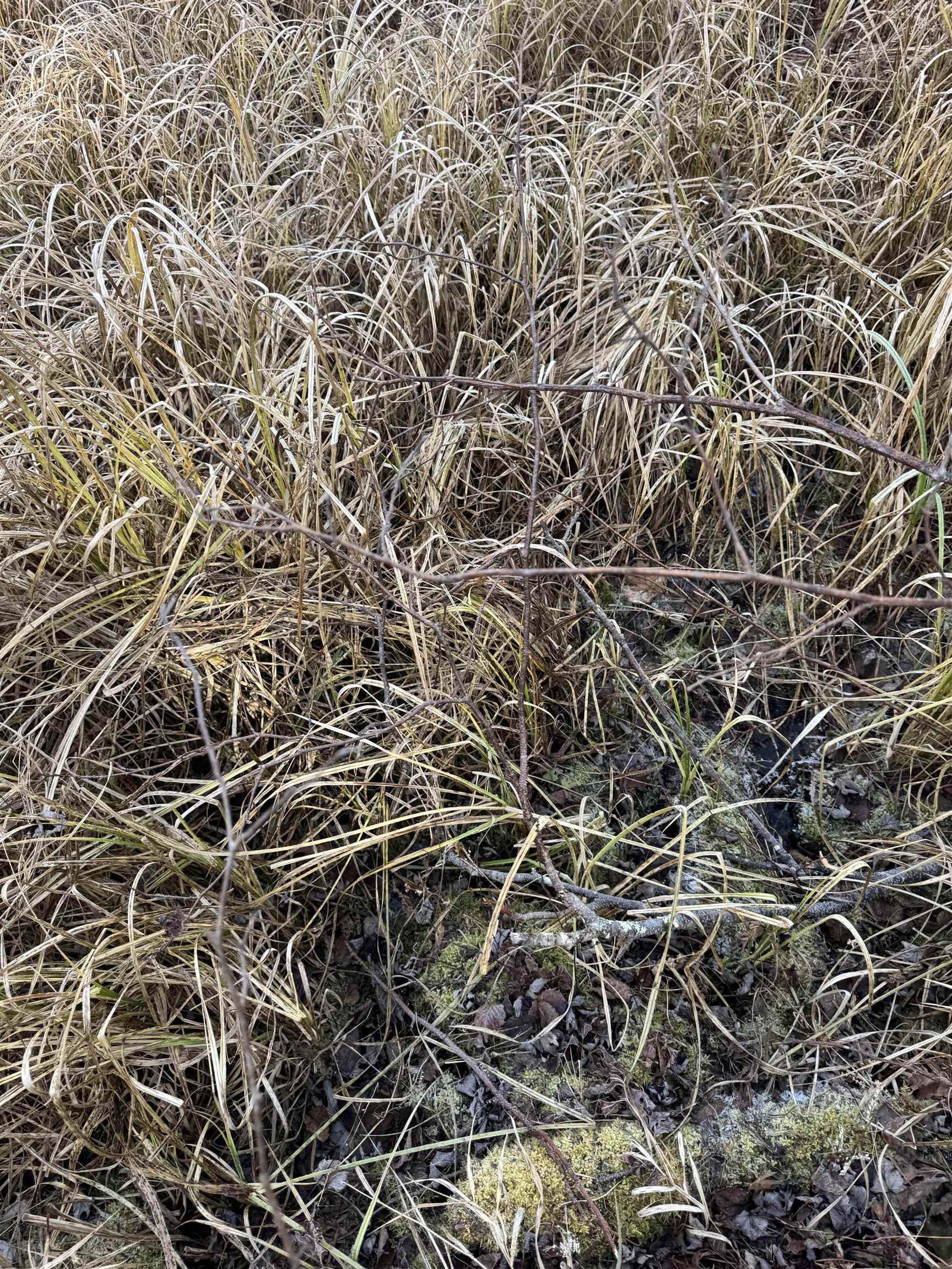 Airport Road, Unit 3 Crivitz, WI 54114 - Photo 6 of 10