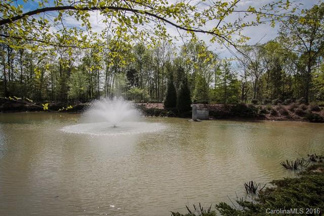 241 River Clay Road, Unit 179 Fort Mill, SC 29708 - Photo 22 of 24 a view of a lake with houses