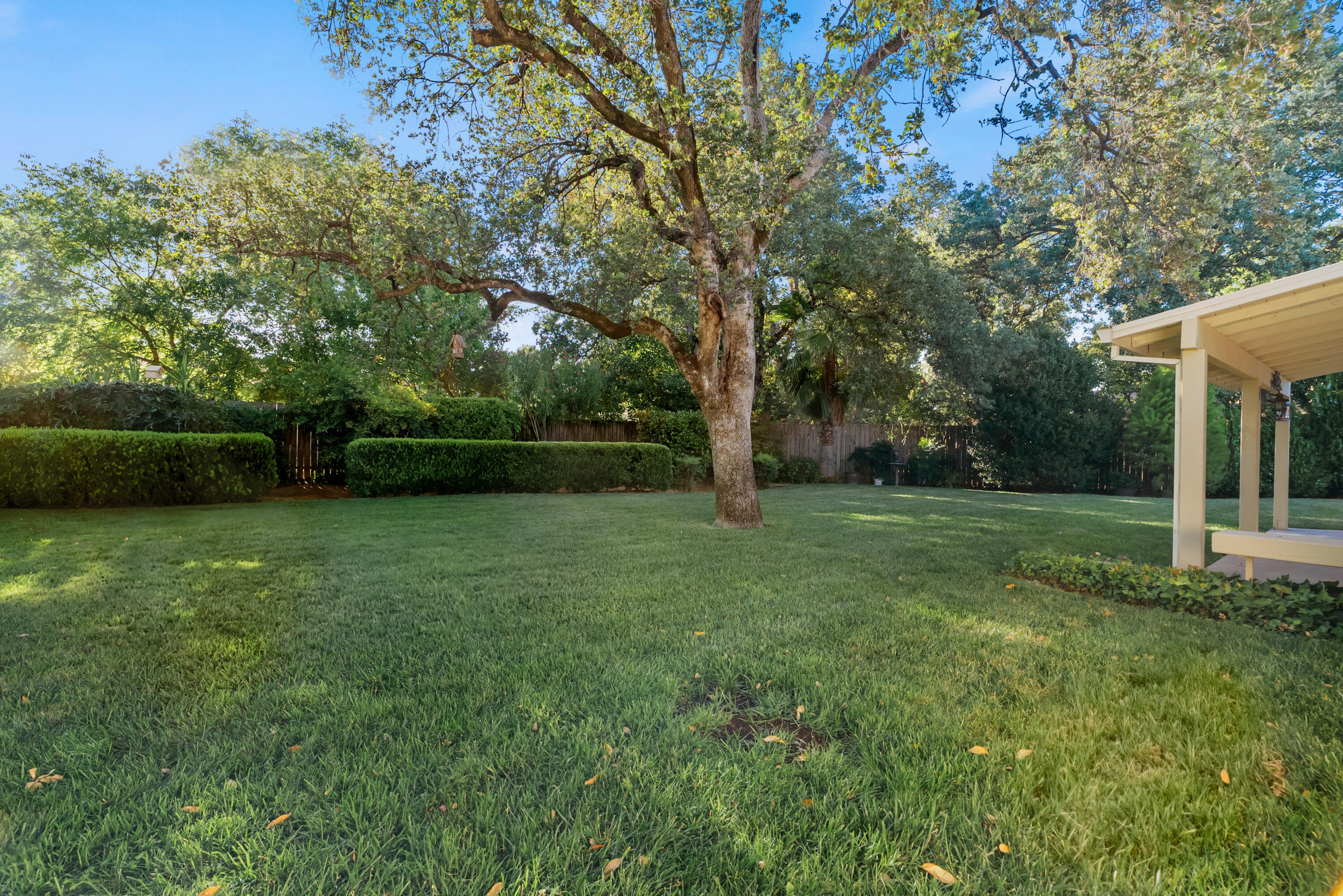 6812 Riata Drive Redding, CA 96002 - Photo 36 of 42 a view of a yard with a tree