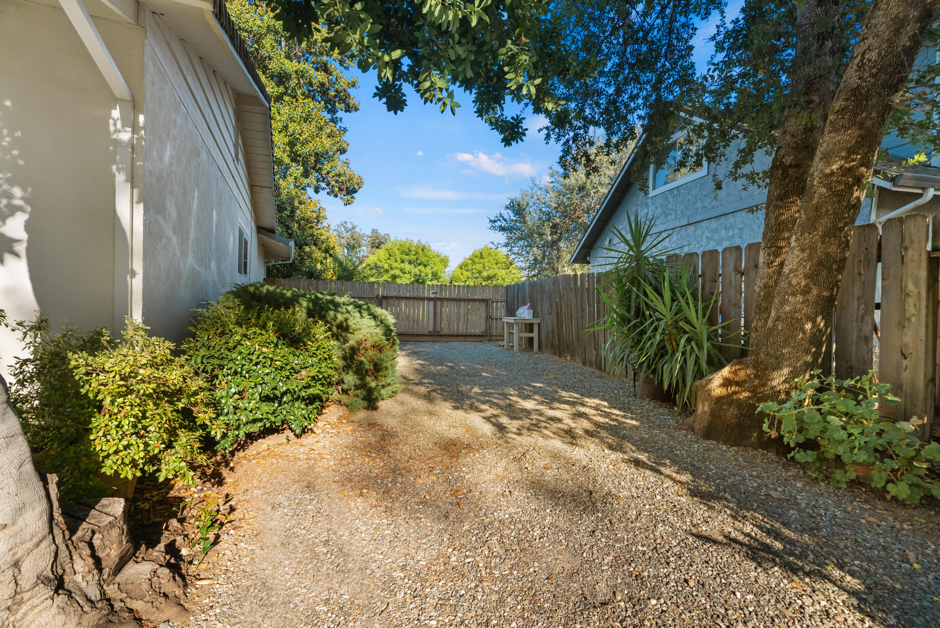 6812 Riata Drive Redding, CA 96002 - Photo 41 of 42 a view of a yard