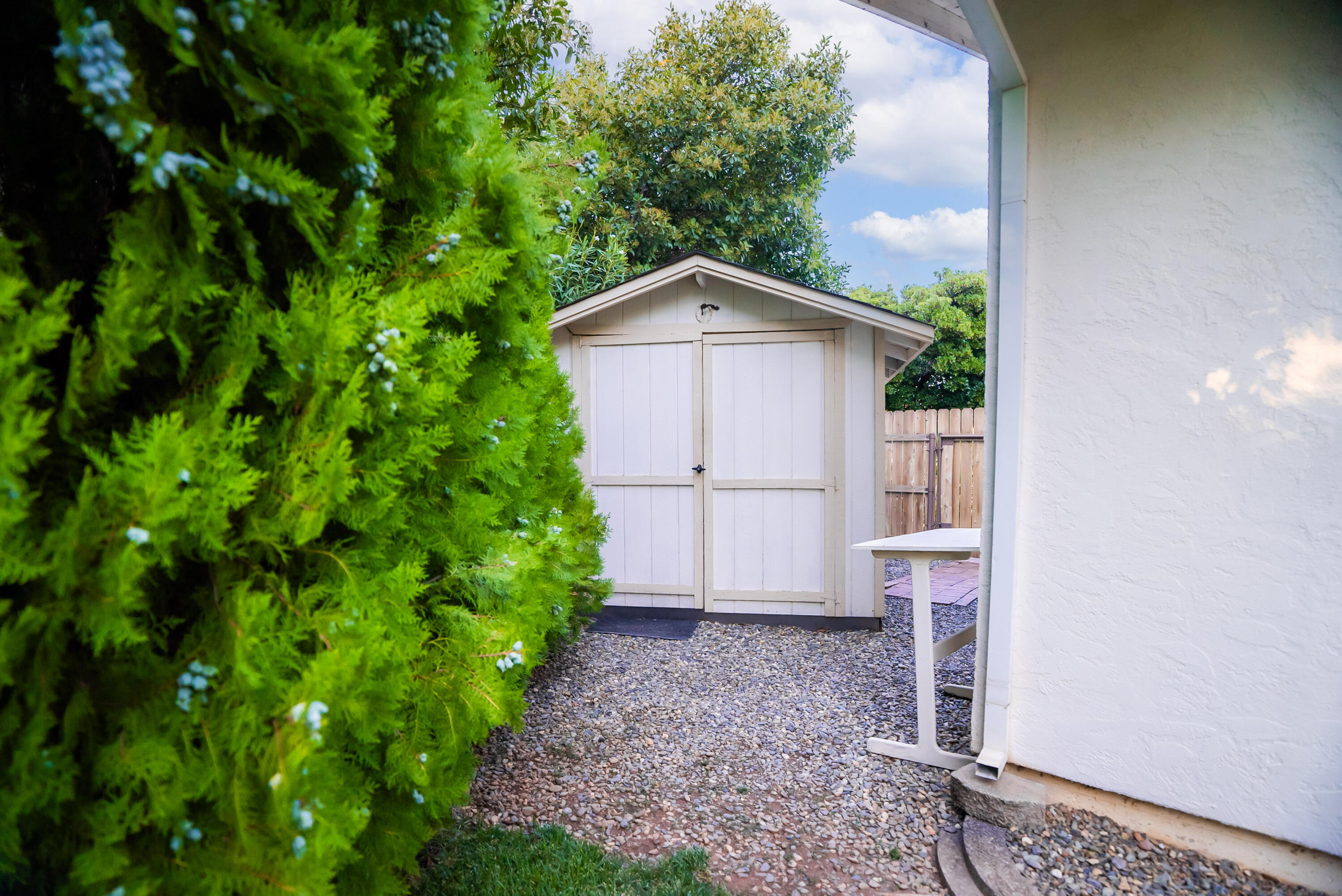 6812 Riata Drive Redding, CA 96002 - Photo 42 of 42 a view of a backyard with plants
