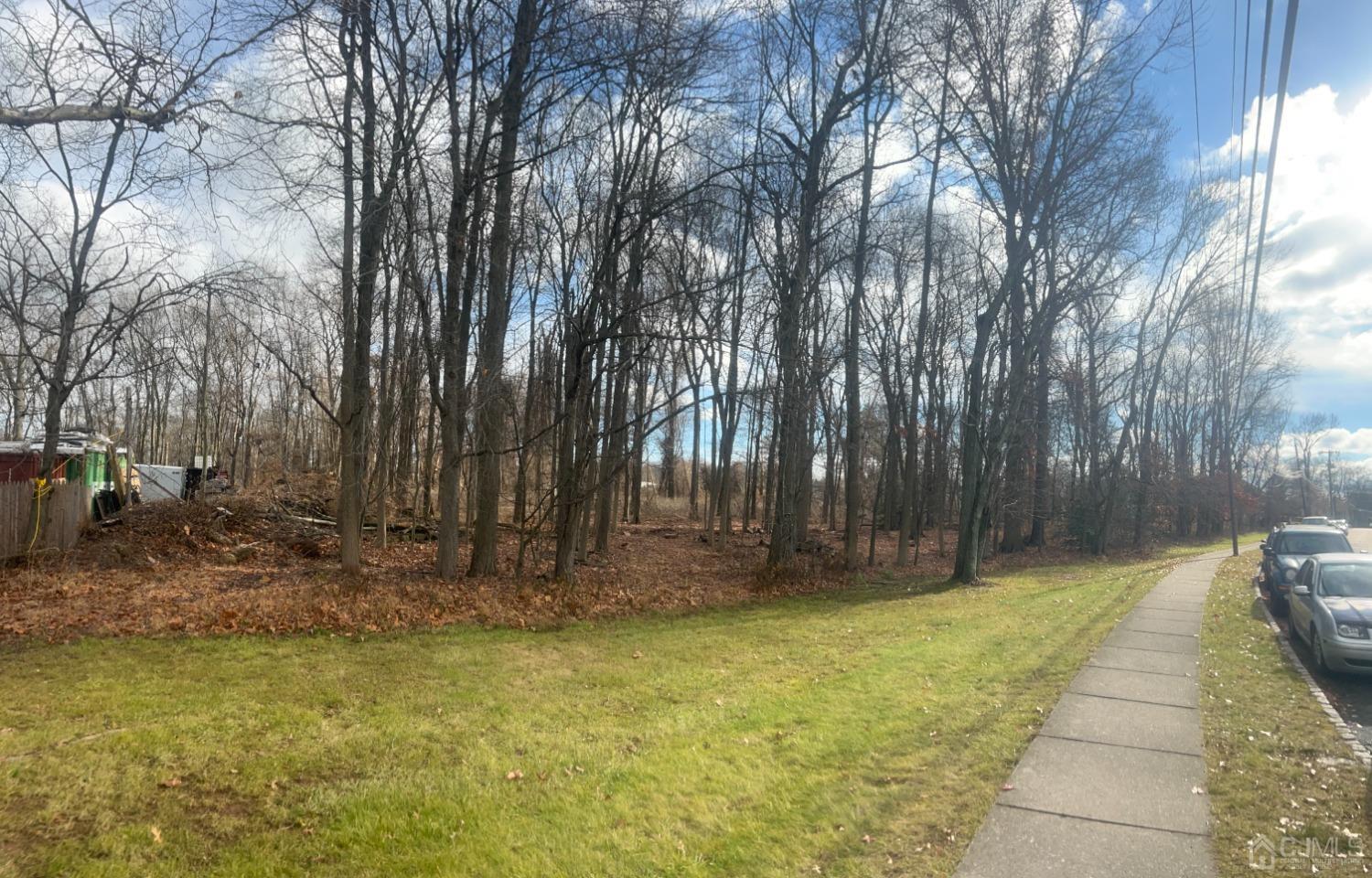 990-990 Inman Avenue Edison, NJ 08820 - Photo 4 of 7 a backyard of a house with lots of green space