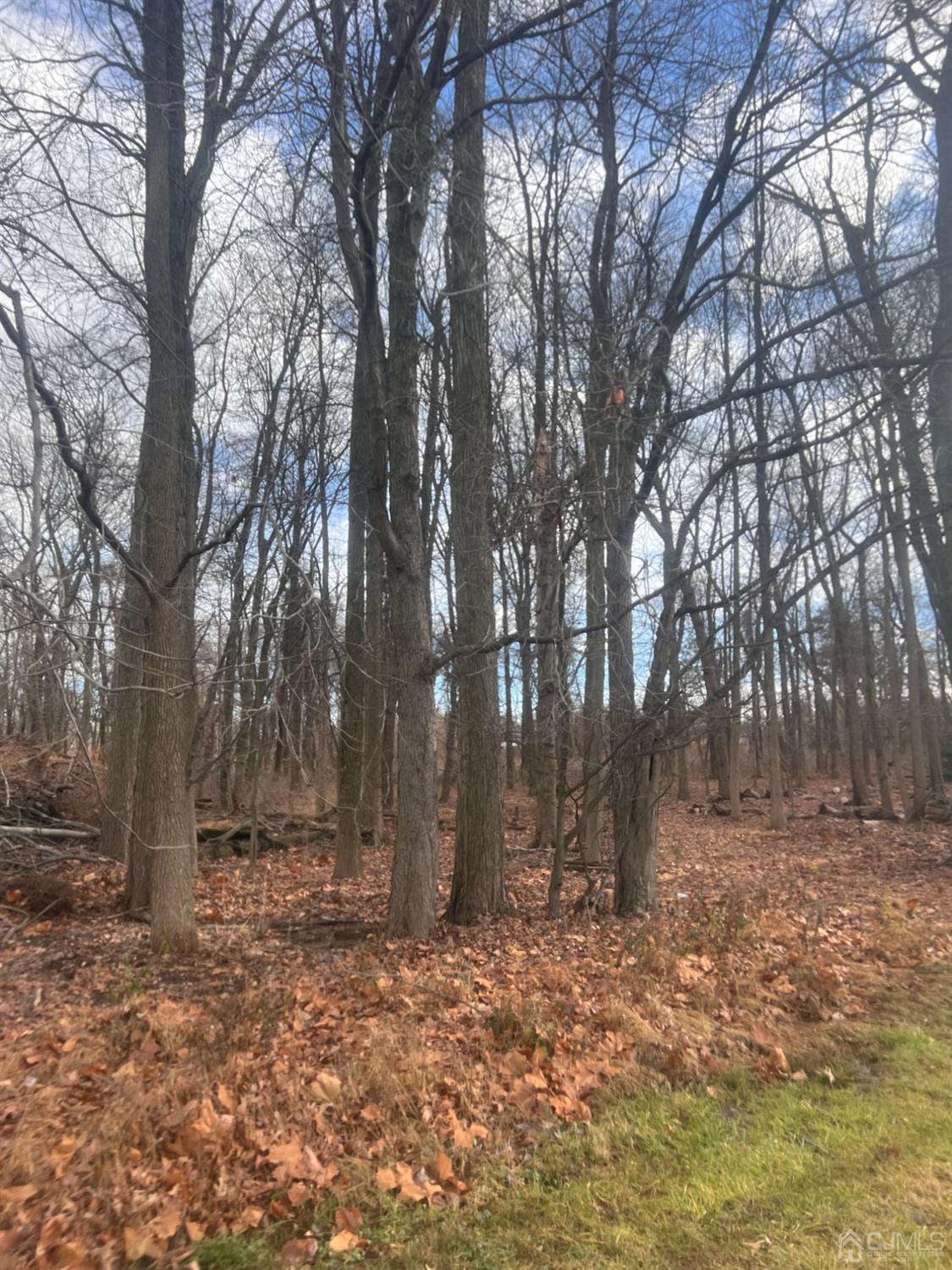 990-990 Inman Avenue Edison, NJ 08820 - Photo 5 of 7 a backyard of a house with lots of green space