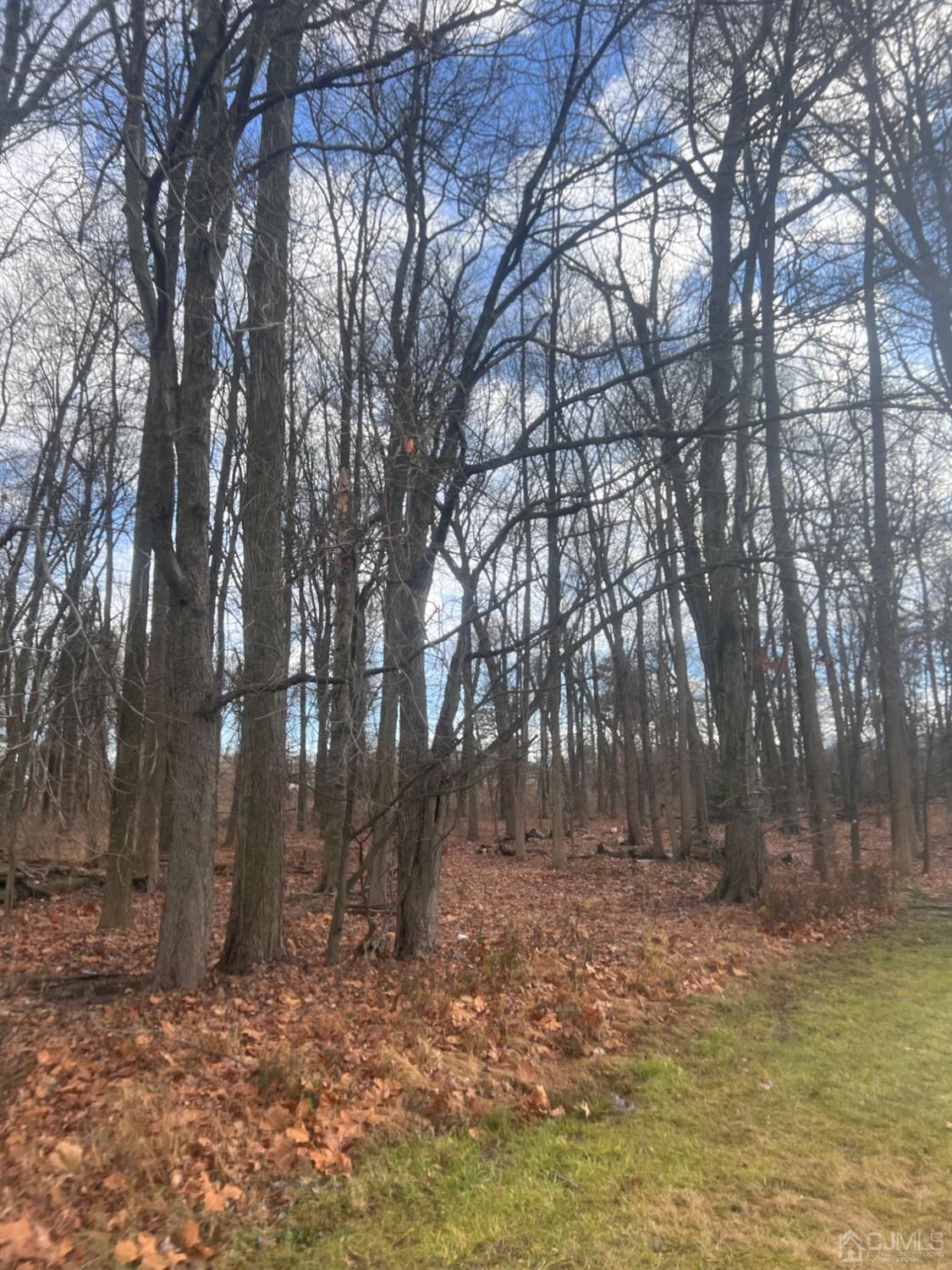 990-990 Inman Avenue Edison, NJ 08820 - Photo 7 of 7 a backyard of a house with lots of green space