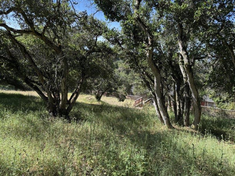 6443 Tustin Road Salinas, CA 93907 - Photo 14 of 34