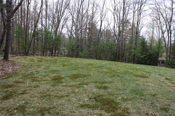 262 Tom Swamp Road Petersham, MA 01366 - Photo 3 of 30